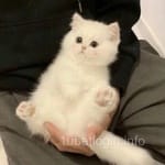 Avatar de Joaquín Bravo